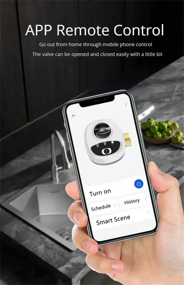eWelink APP WiFi Smart Valve Water Gas Shutoff Automated Ball Valve DN15/DN20/DN25 Wireless Control For Alexa Google Alice