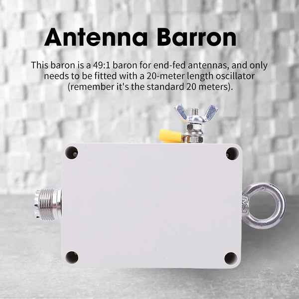 49:1 Balun Short Wave Balun 100W End Fed Half-Wave Antenna EFHW Antenna Ham Radio Balun for HF Short Wave product image