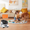 Pet Camera Dual Lens Wifi Camera Robot Pet Tracking Color Night Vision Laser Indication Teasing Remote Monitor Home Camera