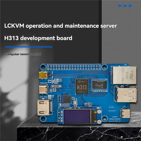 Stable Performance-LCKVM Server H313 Development Board 512MB/1GB DDR3 Memory Computer Remote Control For Operation And Maintenan